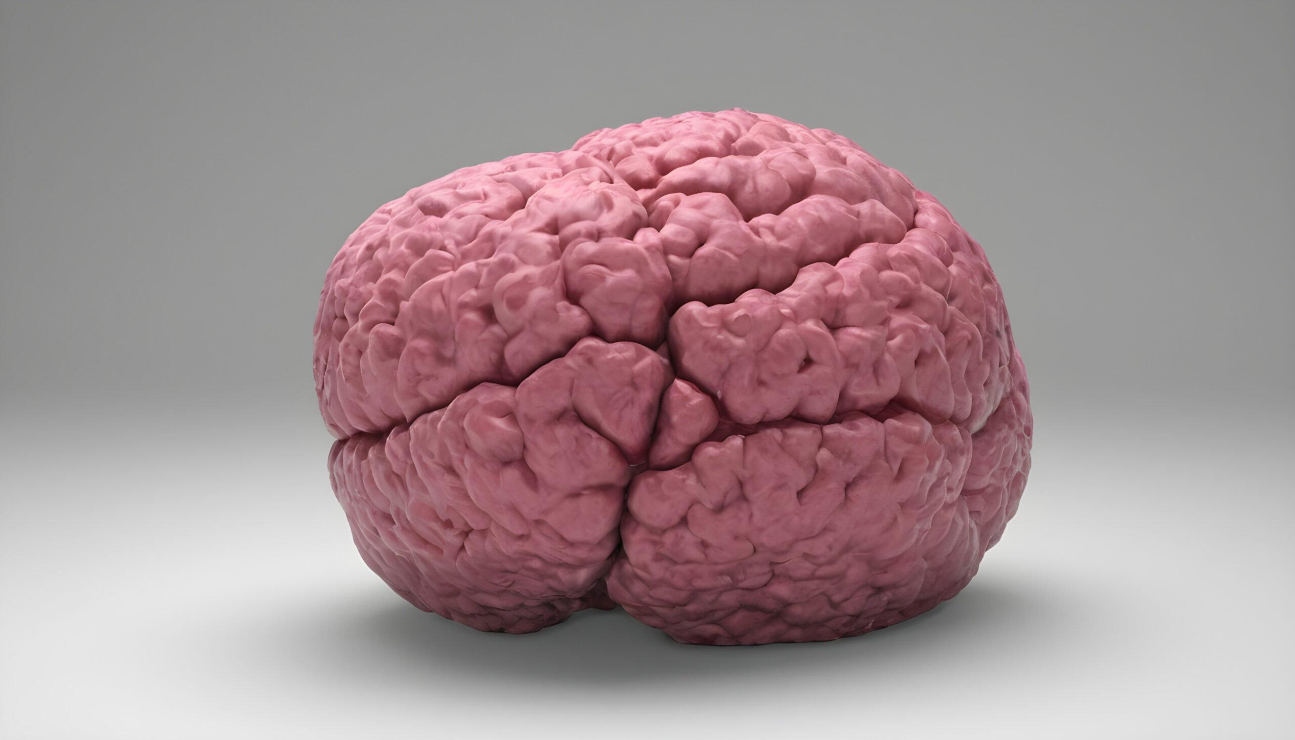 An image of the human brain illustrating the intricate journey of brain development from infancy to adulthood.